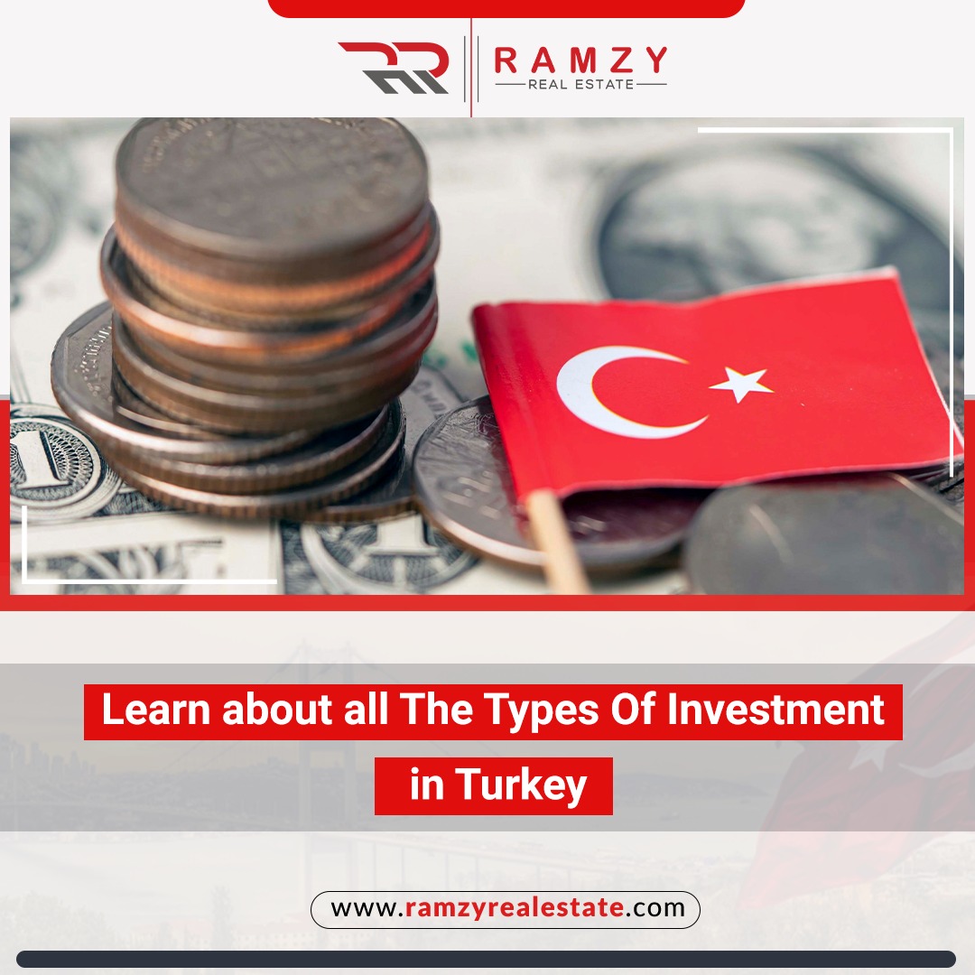 Learn about the types of investments in Turkey